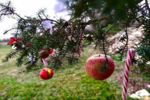 What people in Istria used to have for Christmas dinner long before the Covid-19 pandemic