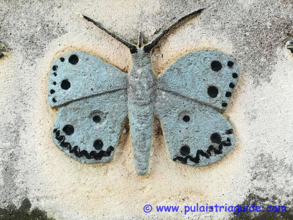 Butterfly in the nay cemetery of the city of Pula